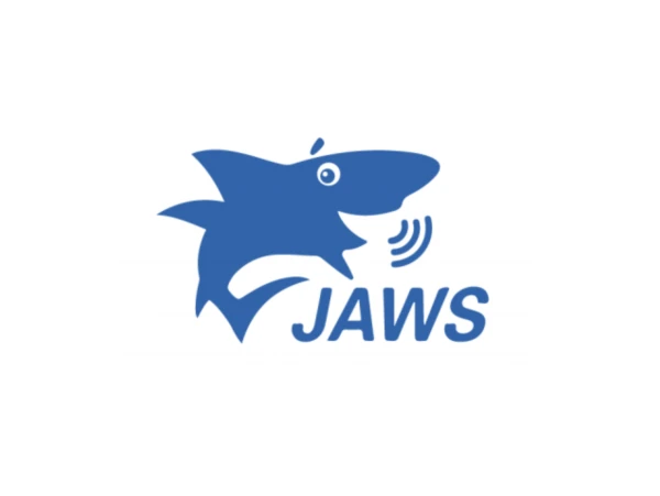 Программа экранного доступа - Jaws for Windows